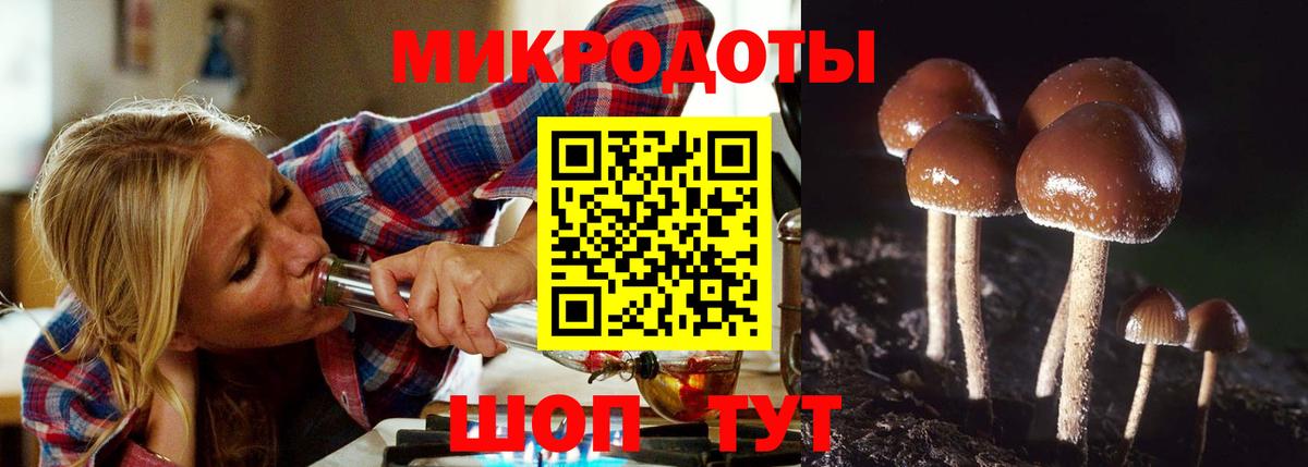 что такое наркотик  Псилоцибиновые грибы мухоморы  Вход с VPN  Кашира 