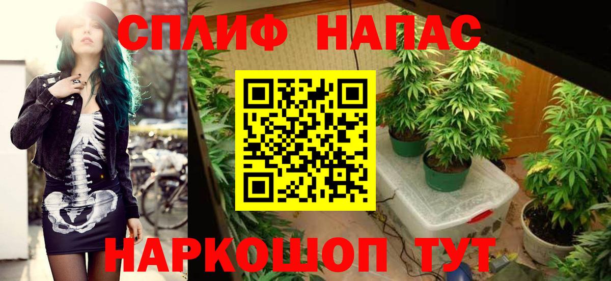 Бошки Шишки марихуана  Вход с VPN  Шишки марихуана ГИДРОПОН  Бошки марихуана конопля  Кашира 